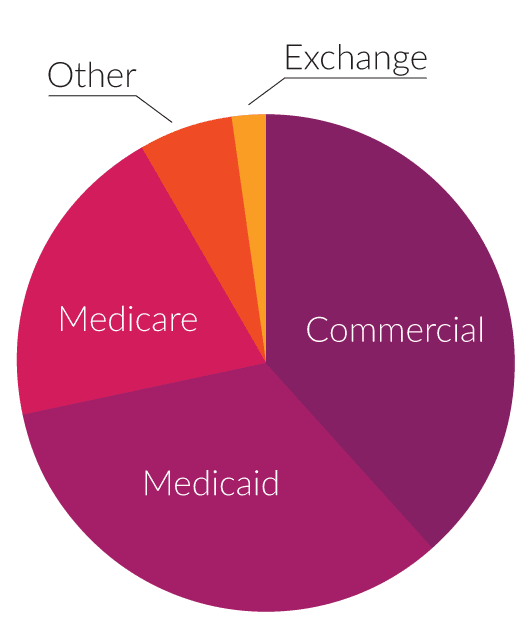 healthcare population pie chart