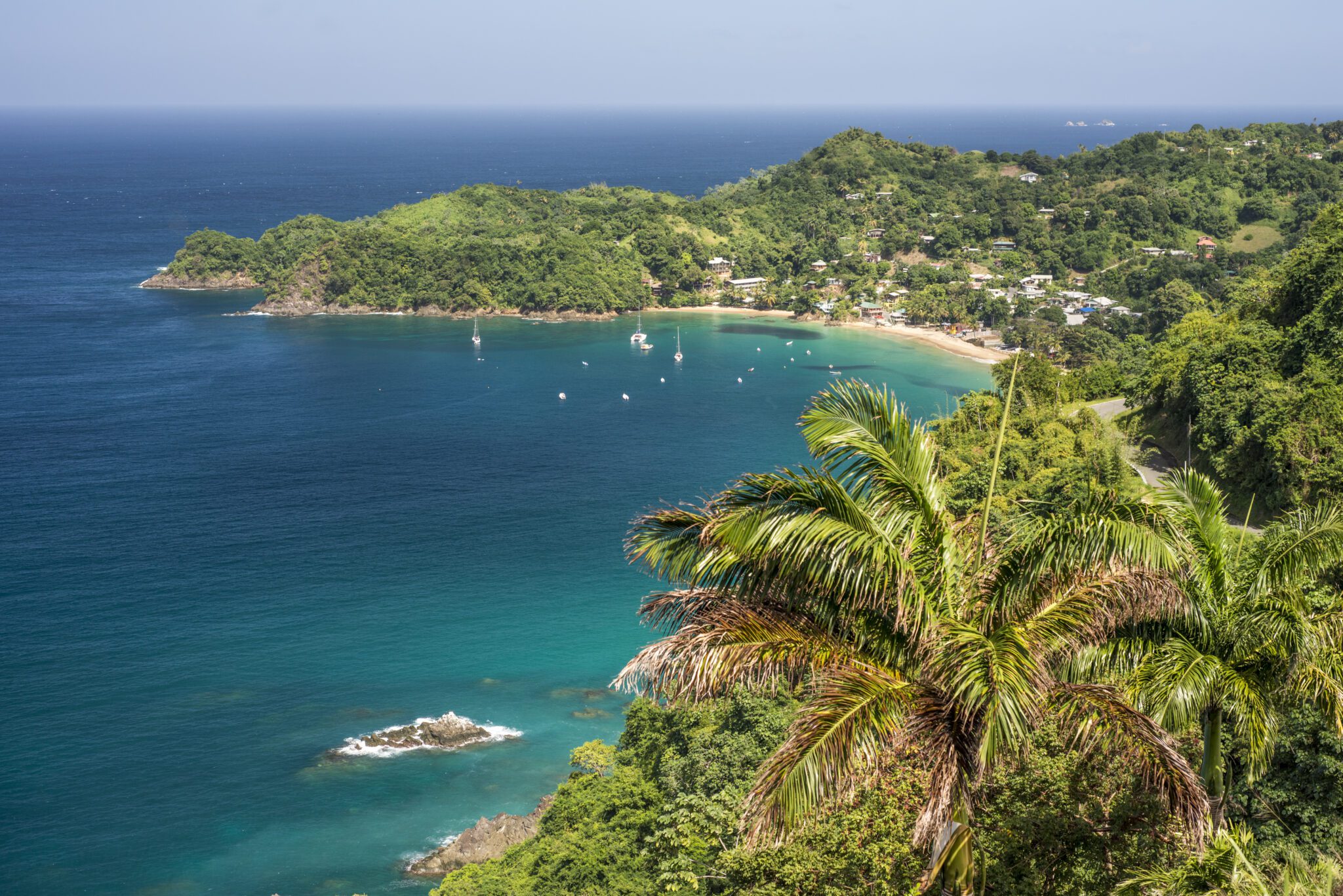 Aerial view of a turquoise Caribbean bay surrounded by lush green hills in Tobago